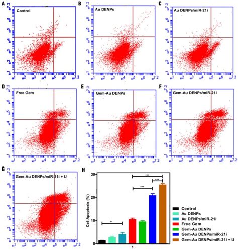 markers for apoptosis